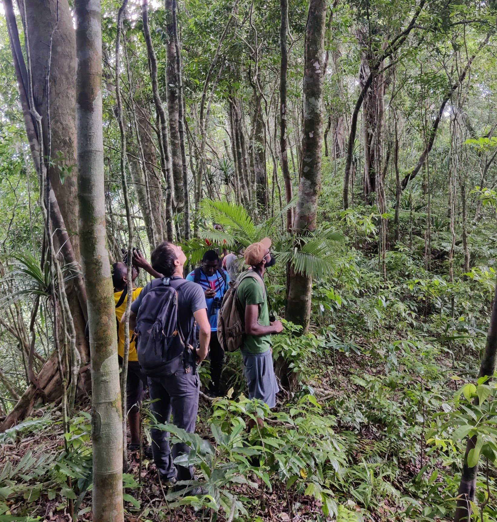 compagnonnage_mayotte-moheli_pour_renforcer_la_cooperation_pour_le_suivi_de_lavifaune_cmalo_braquier_-_gepomay.jpg