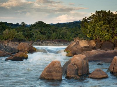 Guyane Guyane
