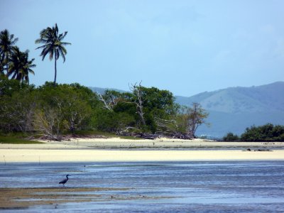 Nouvelle-Calédonie